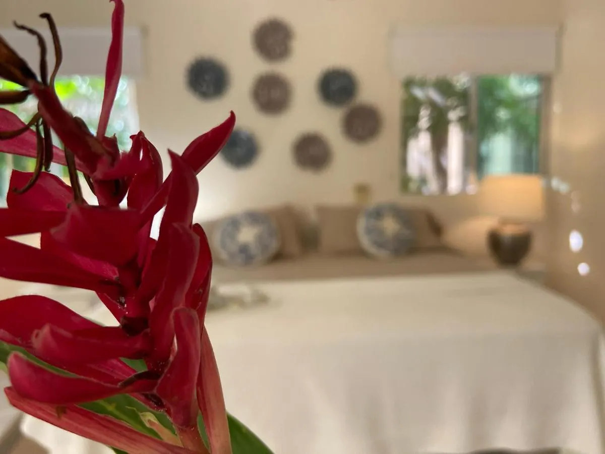 プレヤデルカーメン Casa Marenaヴィラ 0*,  メキシコ